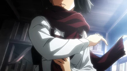  Mikasa