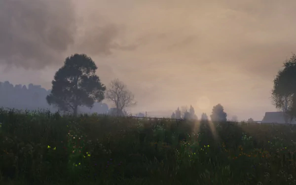 video game DayZ HD Desktop Wallpaper | Background Image