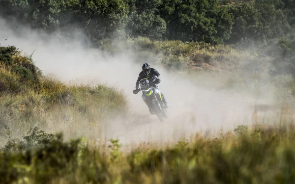 A rider maneuvers a Triumph Tiger 900 Rally Pro through a dusty trail, showcasing the motorcycle's rugged design against a backdrop of nature. HD desktop wallpaper.