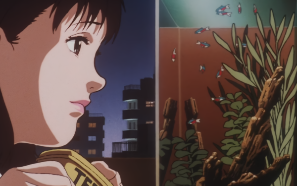 Perfect Blue - Desktop Wallpapers, Phone Wallpaper, PFP, Gifs, and More!