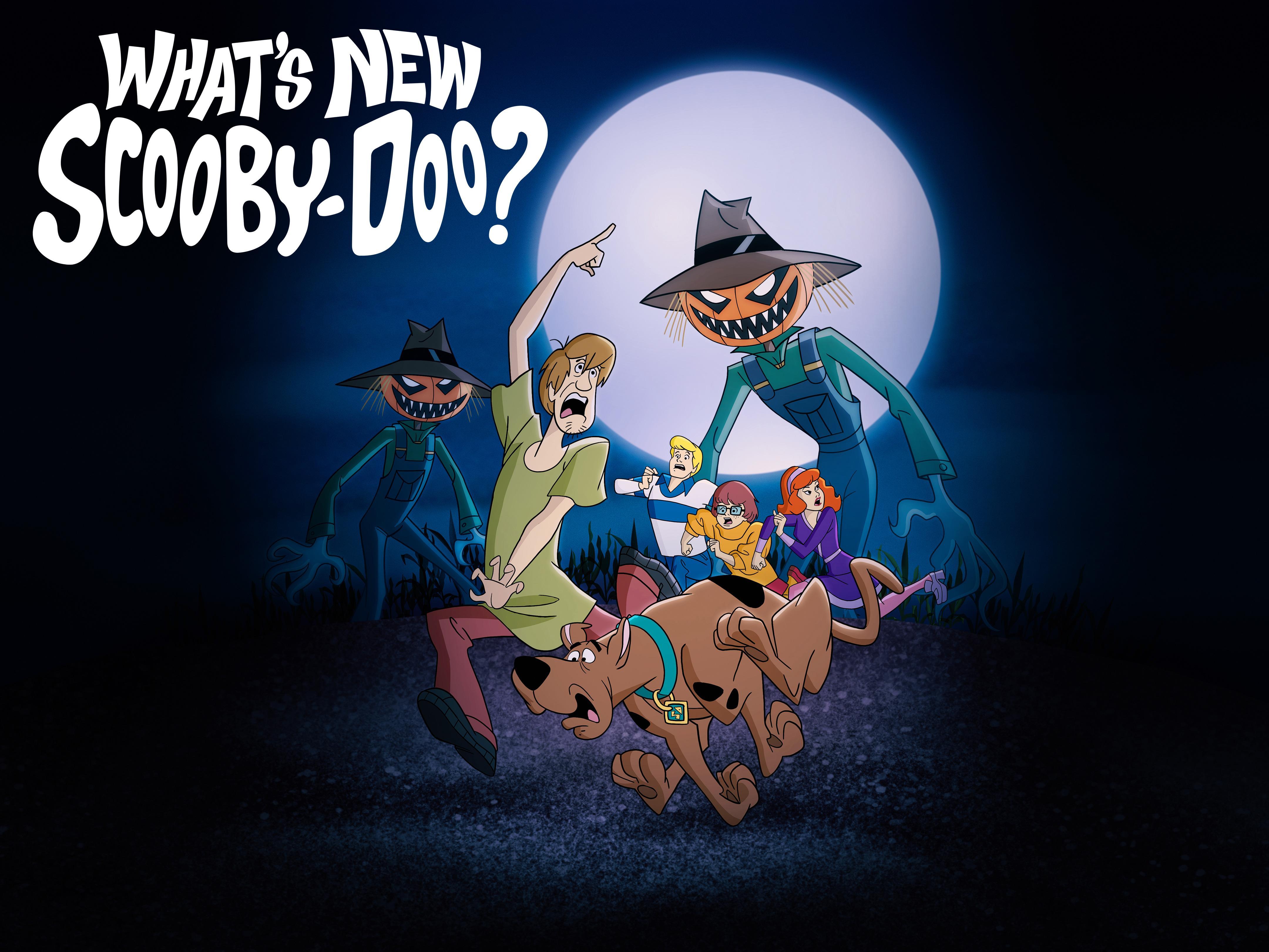 Scooby Doo Filmachtergrond Scooby Doo Filmachtergrond