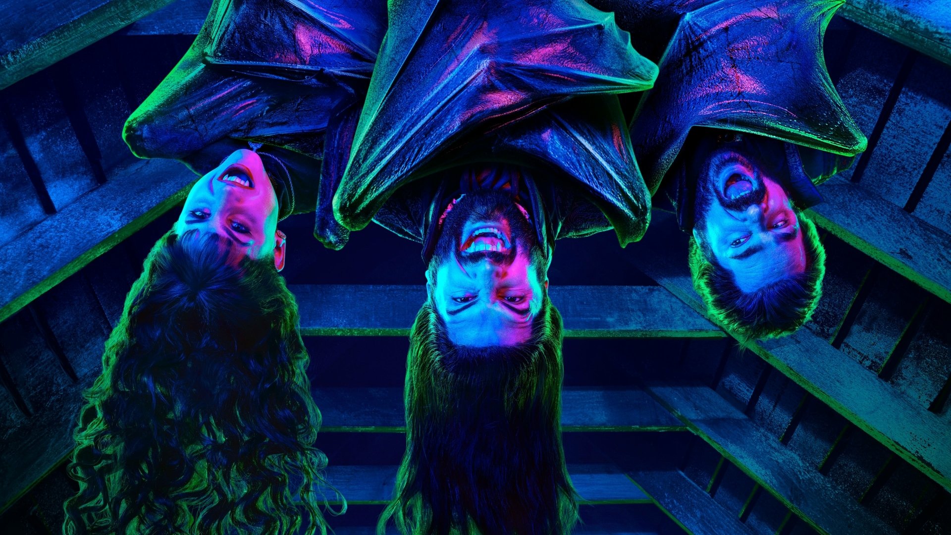 Download Kayvan Novak Matt Berry Natasia Demetriou TV Show What We Do In The Shadows 4k Ultra HD Wallpaper