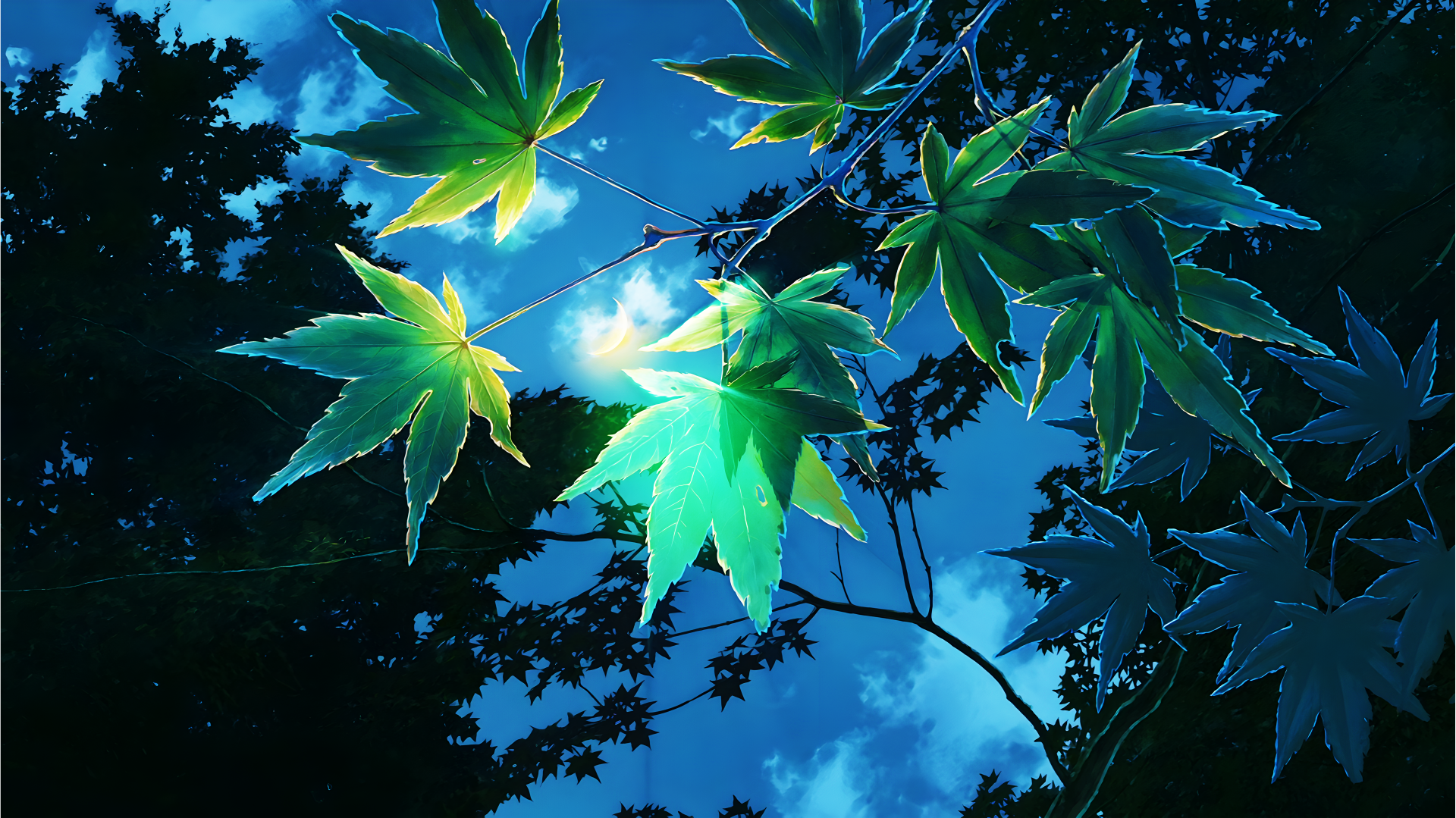 Download Anime The Garden Of Words 4k Ultra HD Wallpaper