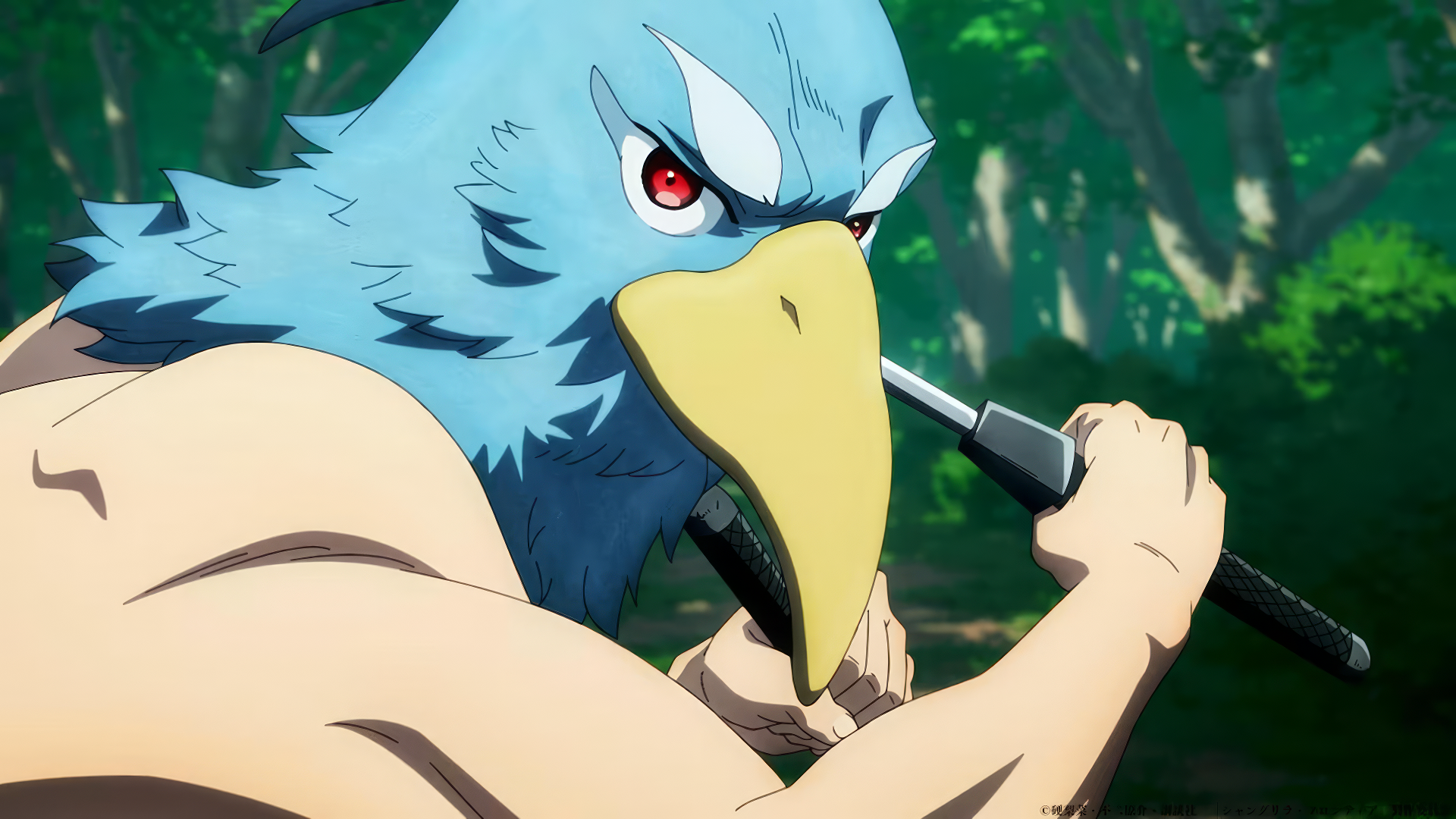HD wallpaper of an animated character from Shangri-la Frontier with a bird-like appearance holding a weapon, set against a forest background.