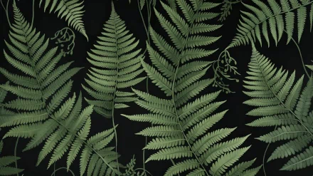 Green fern leaves on a dark background, HD nature-themed desktop wallpaper.