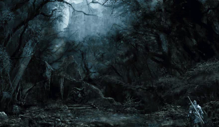  Shaded Woods