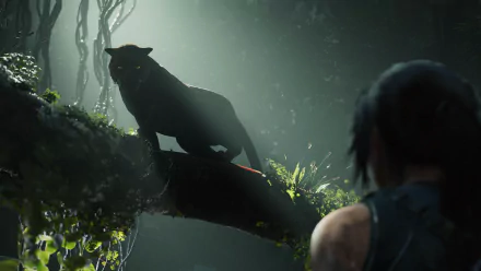 Shadow of the Tomb Raider HD Desktop Wallpaper | Background Image