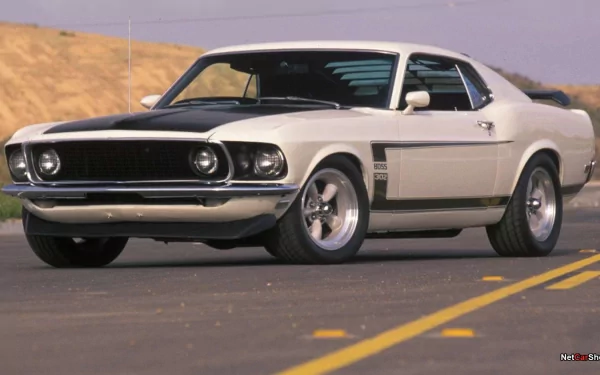 muscle car vehicle Ford Mustang Boss 302 HD Desktop Wallpaper | Background Image