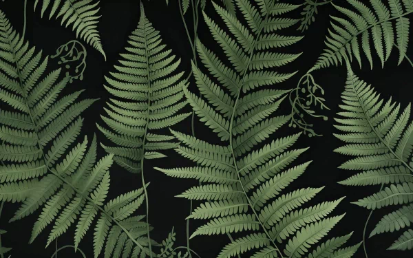Green fern leaves on a dark background, HD nature-themed desktop wallpaper.