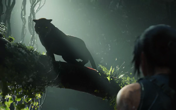 Shadow of the Tomb Raider HD Desktop Wallpaper | Background Image