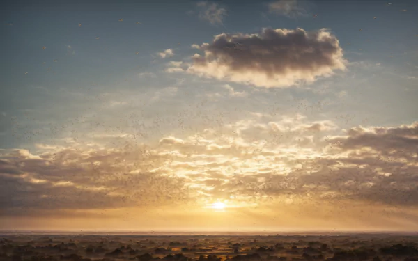  Desert