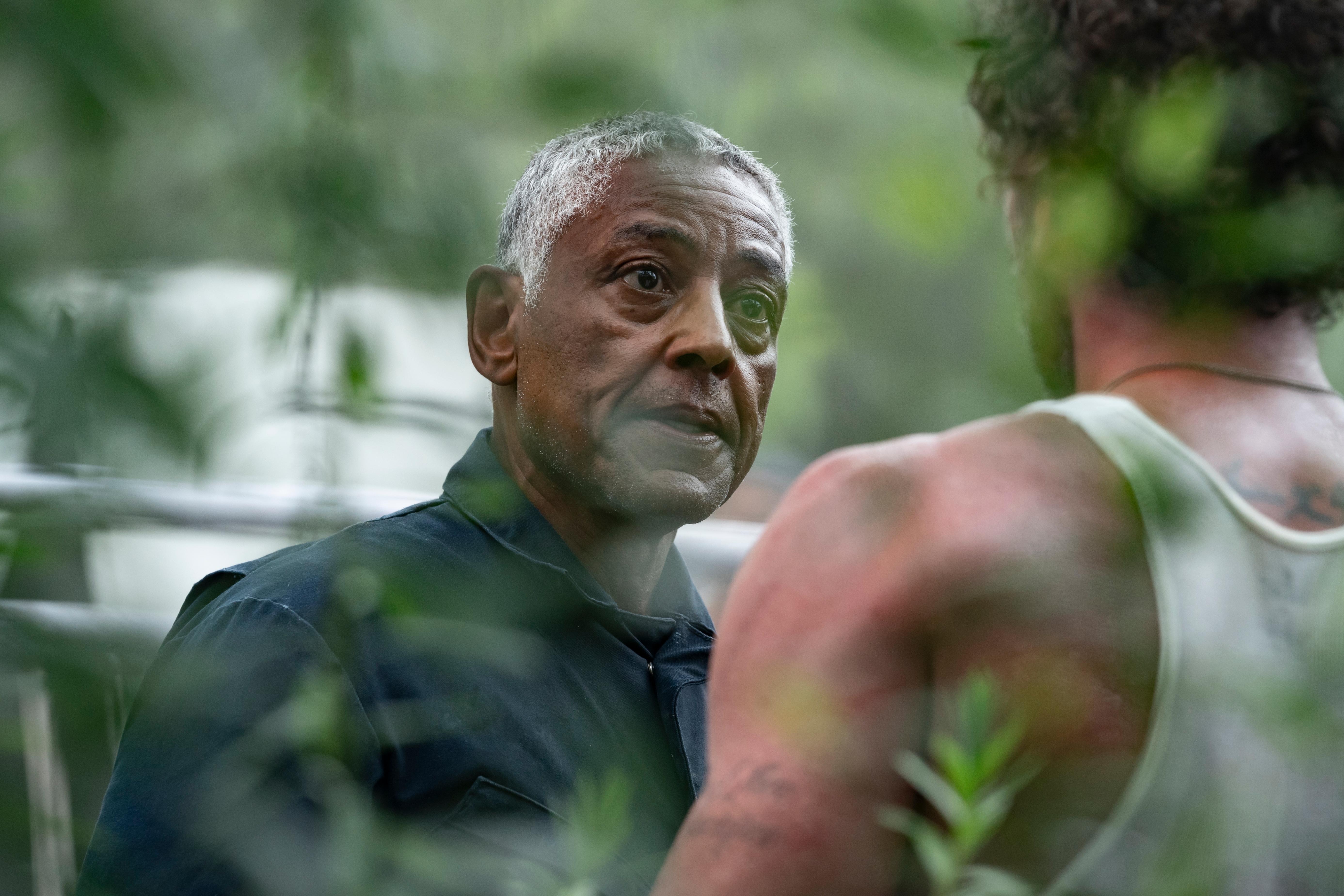 Parish 2024 HD Wallpaper Featuring Giancarlo Esposito parish-2024-hd-wallpaper-featuring-giancarlo-esposito