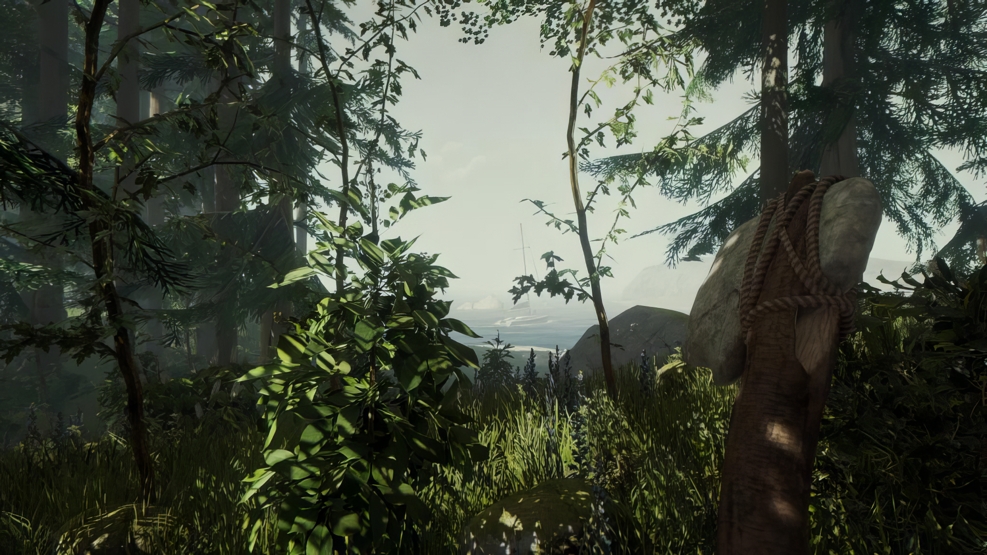 Sons of the Forest game scenery with first-person view of a hand holding an axe among lush trees - HD desktop wallpaper.