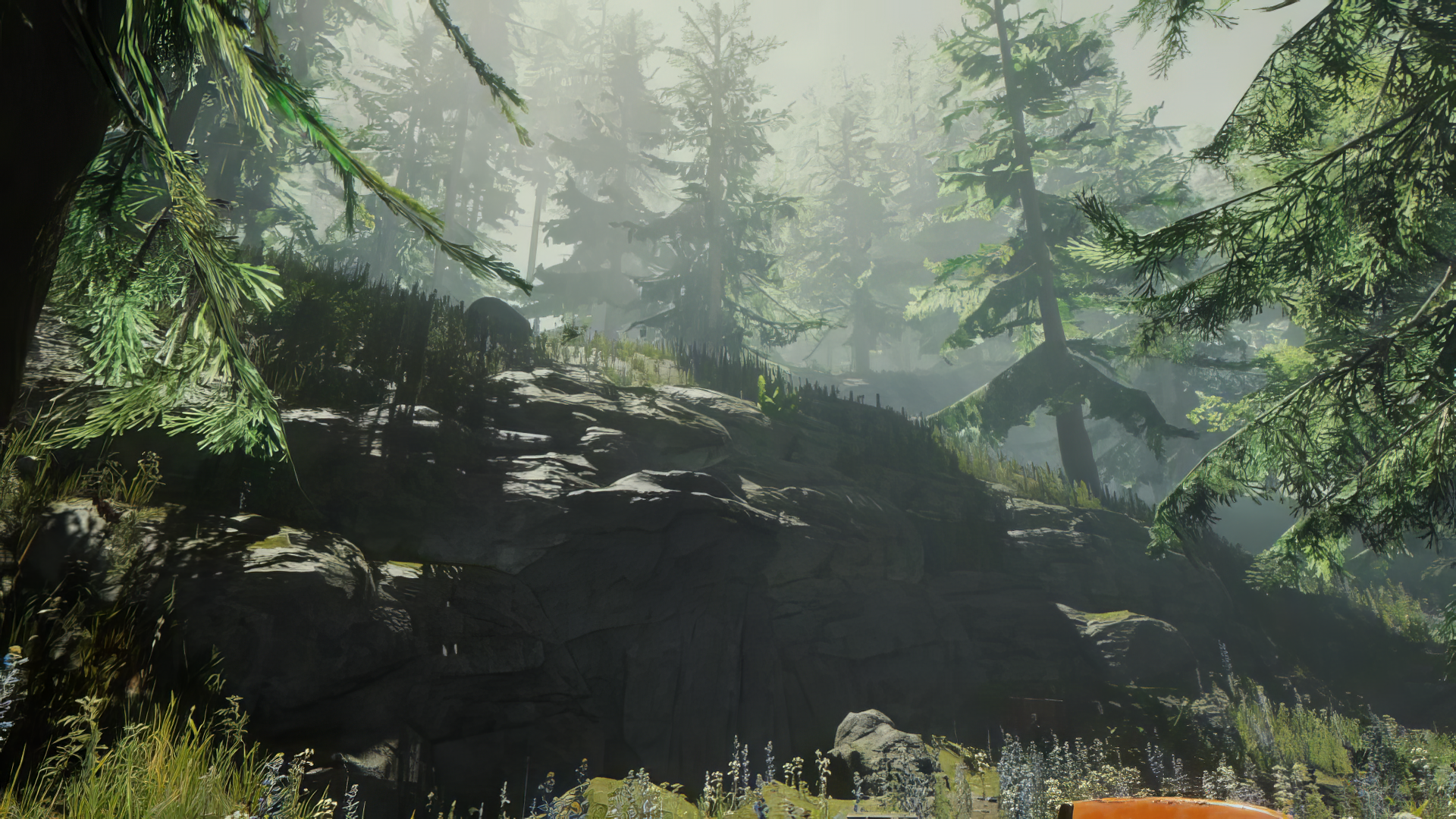 A serene forest landscape from the video game Sons of the Forest, featuring towering trees, rocky terrain, and ambient light filtering through the mist, creating an atmospheric backdrop.