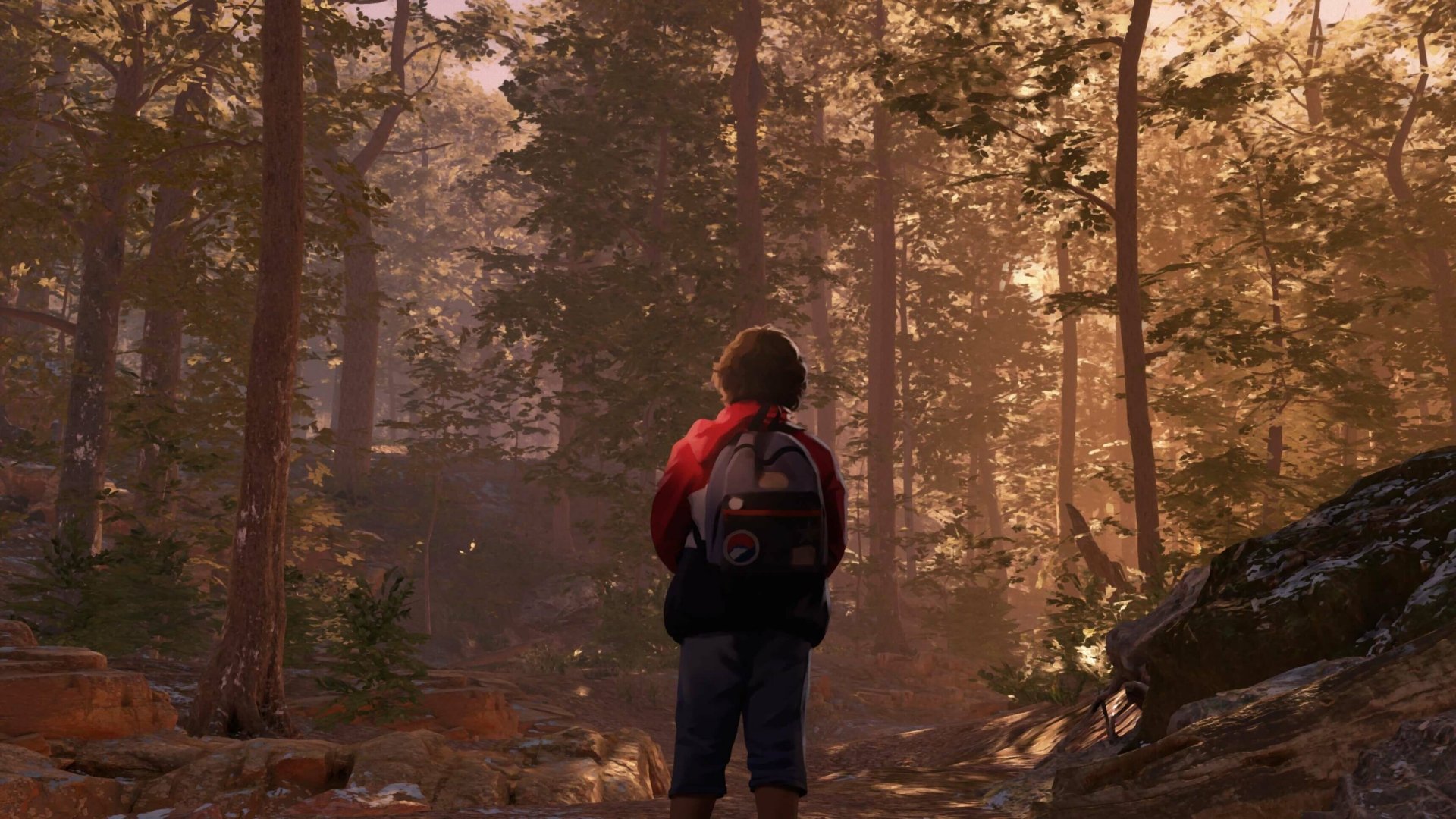 HD wallpaper featuring a character from the video game As Dusk Falls exploring a forest at sunset.