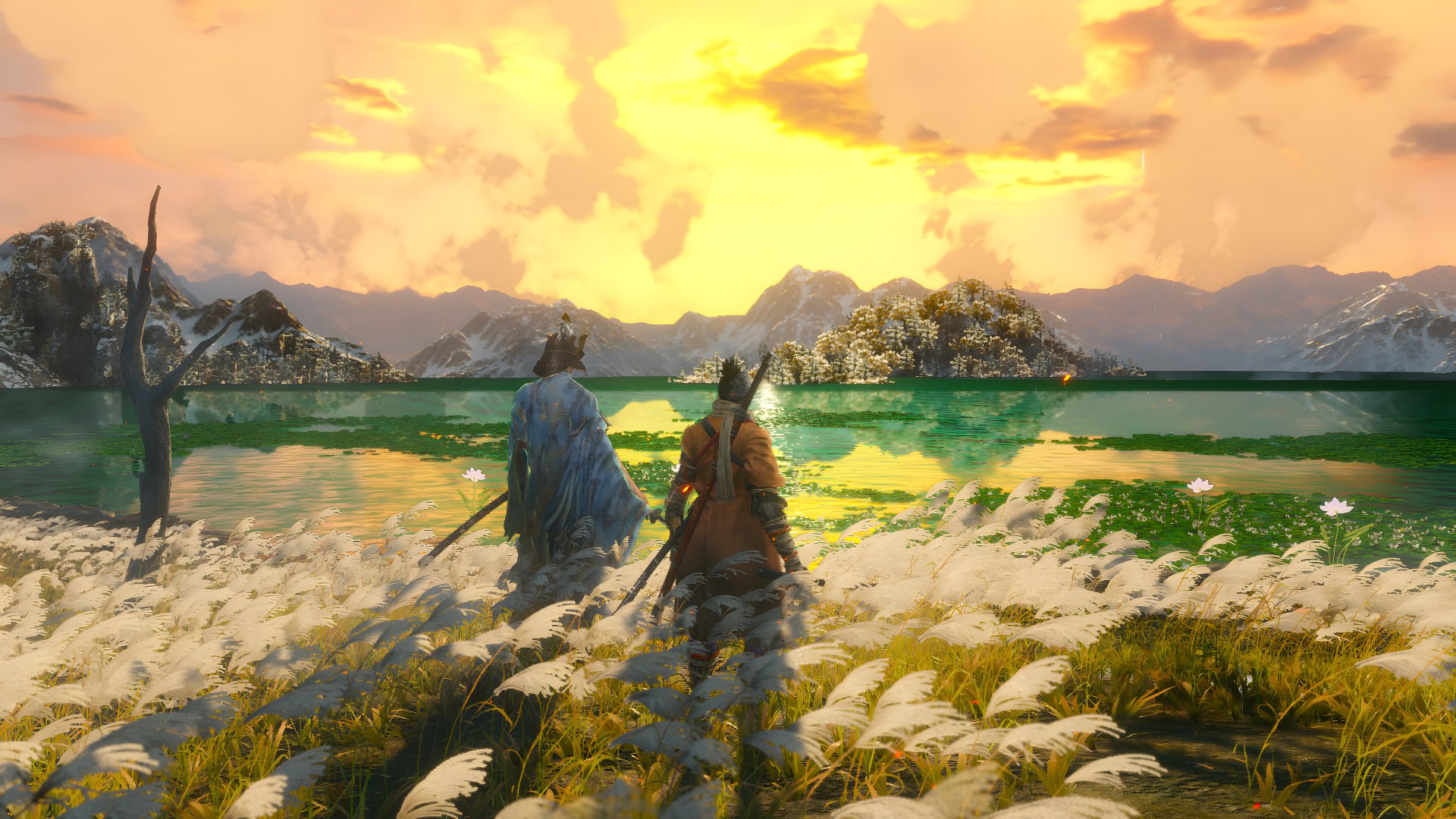 Isshin And Sekiro by Moinuddin Shaikh