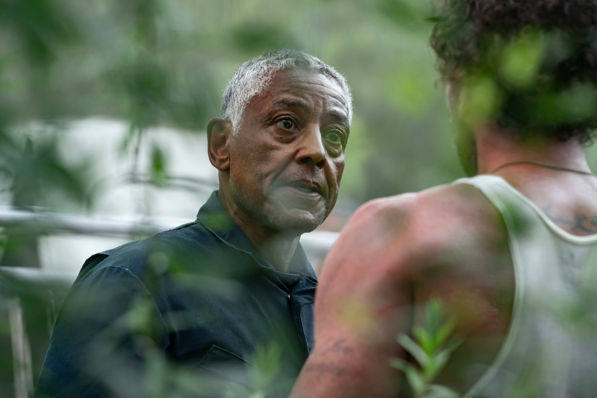 HD wallpaper featuring a scene from the TV show Parish (2024) with actor Giancarlo Esposito in a thoughtful pose in a lush, green setting.