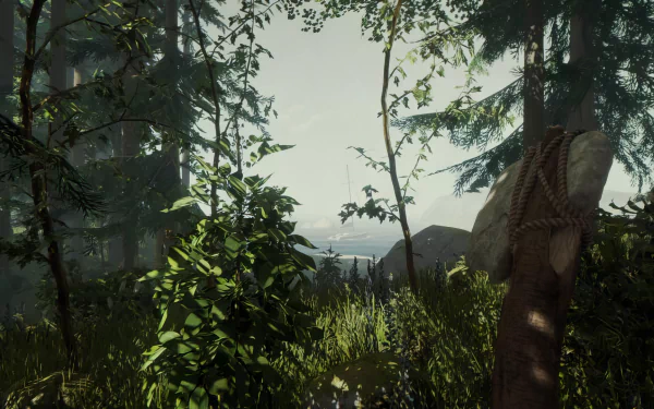 Sons of the Forest game scenery with first-person view of a hand holding an axe among lush trees - HD desktop wallpaper.