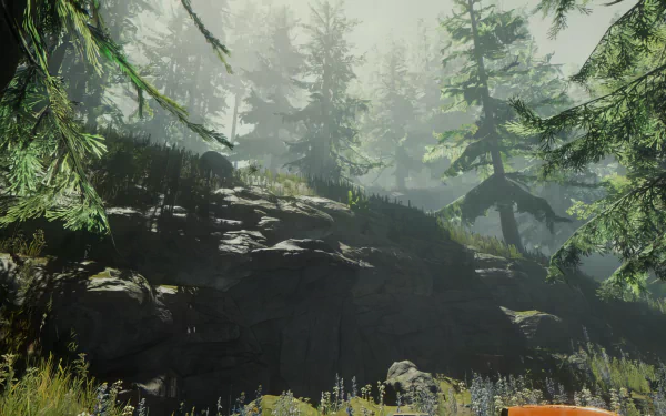 A serene forest landscape from the video game Sons of the Forest, featuring towering trees, rocky terrain, and ambient light filtering through the mist, creating an atmospheric backdrop.