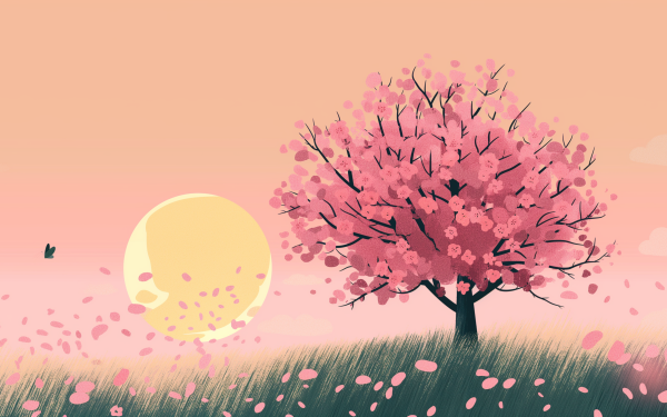 HD desktop wallpaper featuring a serene cherry blossom tree with a warm sunset background.