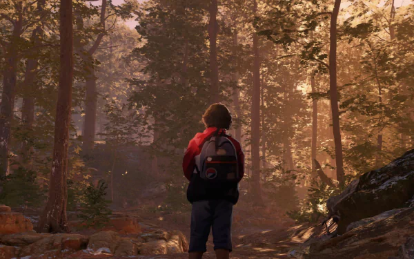 HD wallpaper featuring a character from the video game As Dusk Falls exploring a forest at sunset.