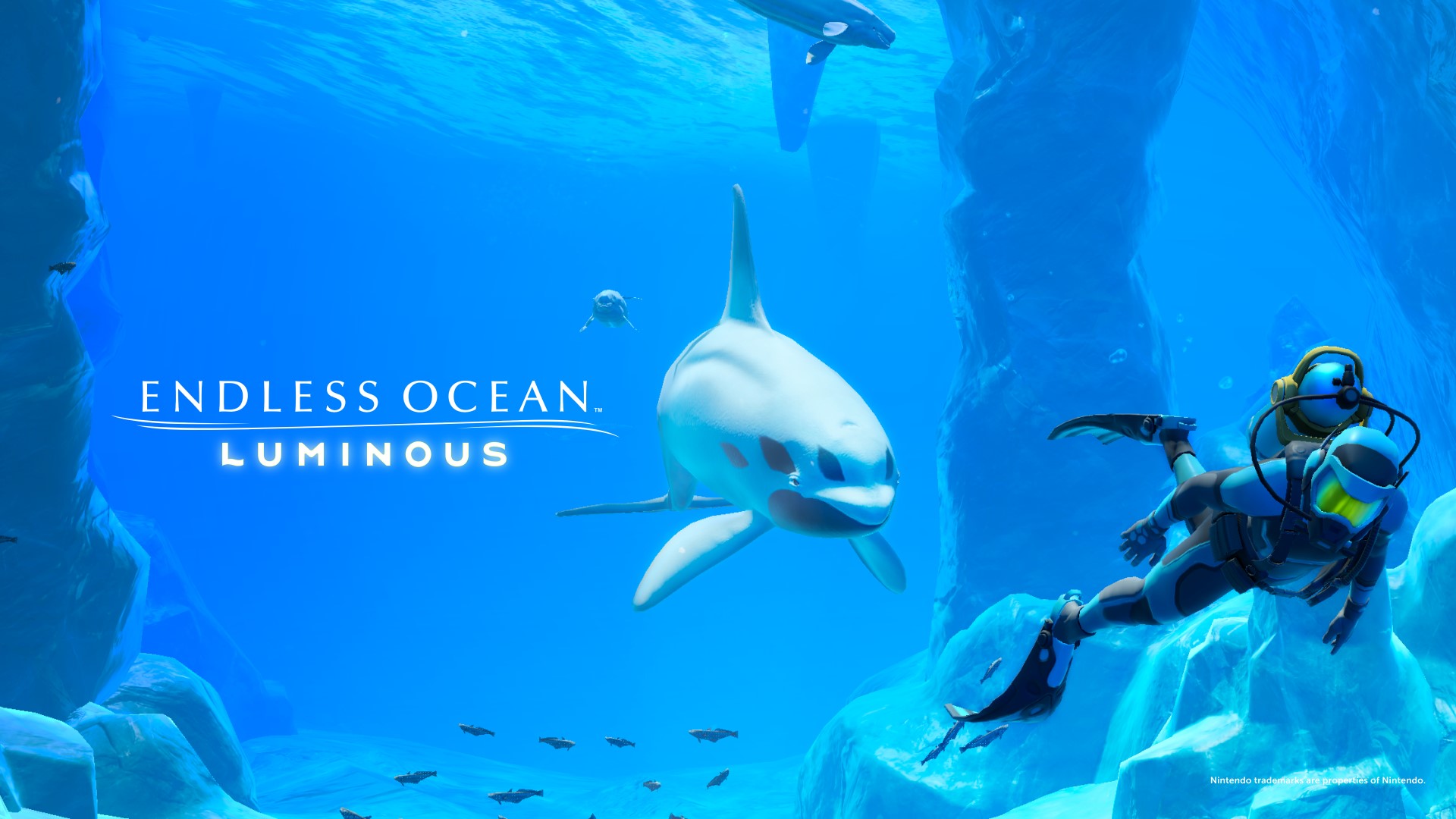 Download Endless Ocean HD Wallpaper