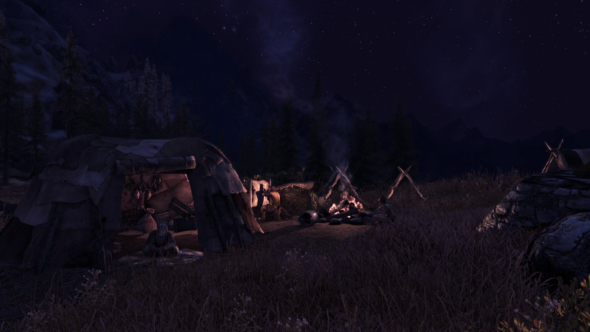 HD desktop wallpaper featuring a night scene from The Elder Scrolls V: Skyrim with a campsite, campfire, and a starry sky in the background.