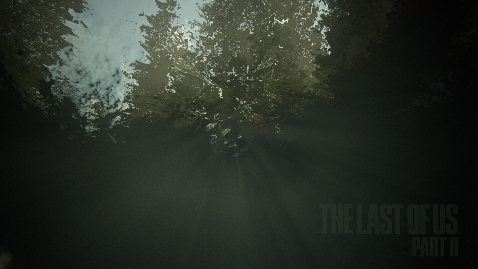 The Last of Us Part II 4K Ultra HD PC desktop wallpaper: moody forest canopy with sun rays piercing through mist, dark green tones and faint game logo at bottom right.