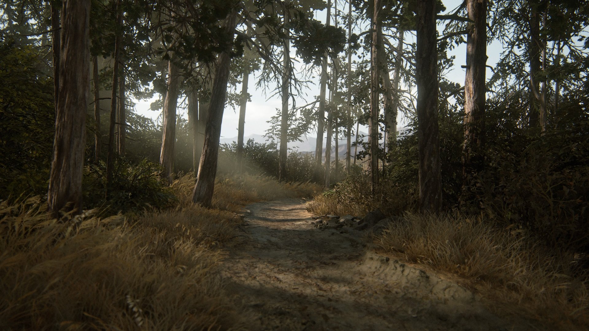 4K Ultra HD PC desktop wallpaper showing a detailed forest path scene from The Last of Us Part II with tall trees and soft sunlight filtering through.