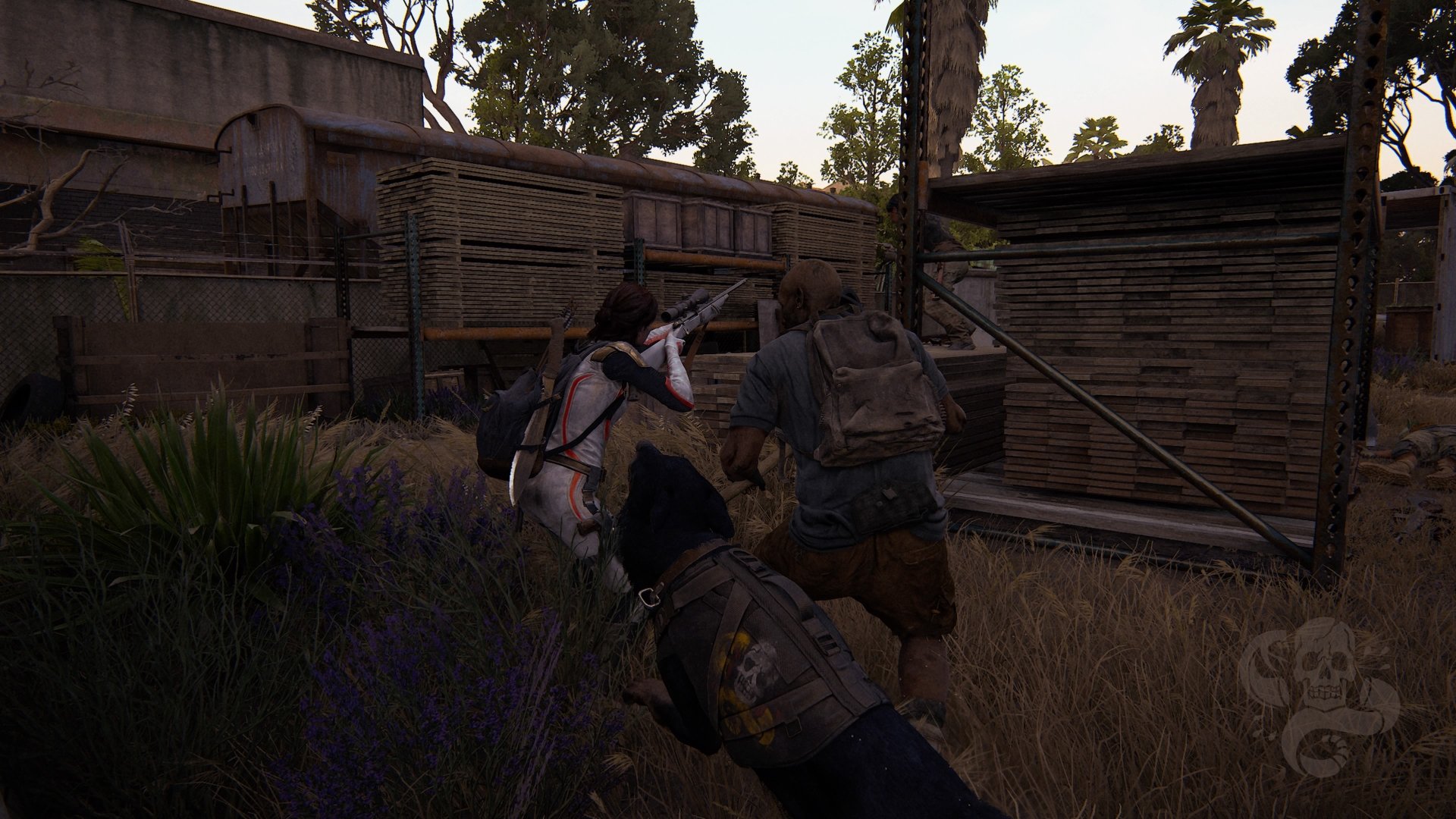 No Return (Savage Starlight, Resort Farm+Rattlers logo 2) by Tlouuser447