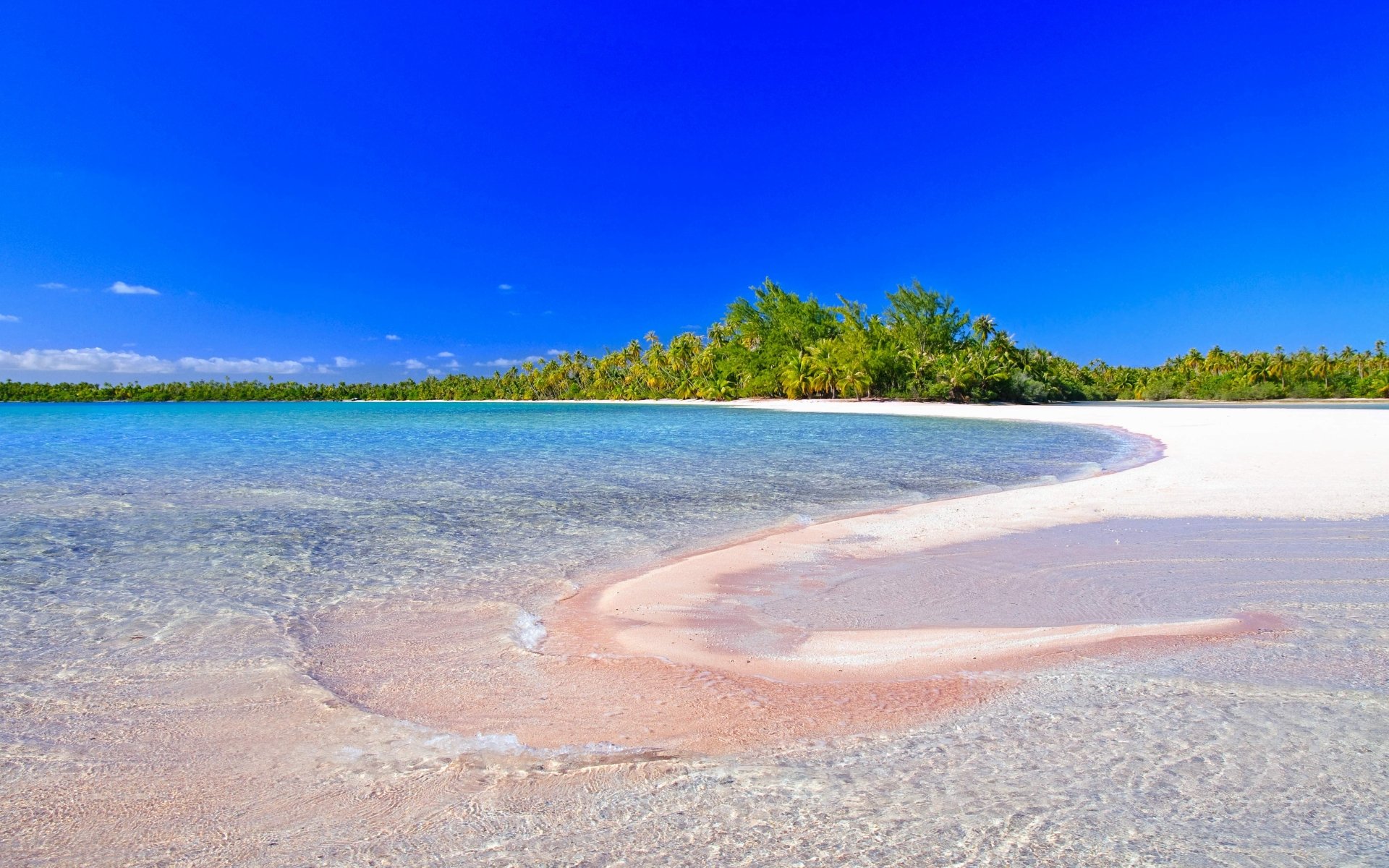 Download Tropical Beach Fakarava Island Noon 8k Ultra HD Wallpaper