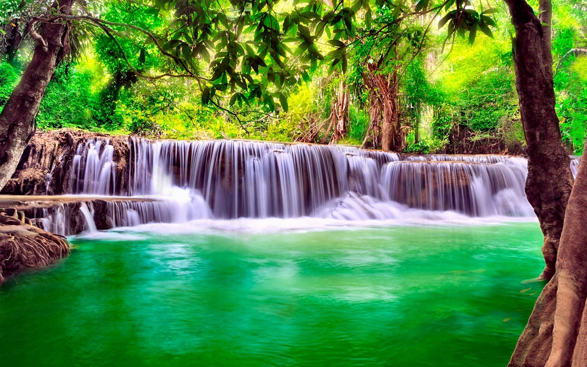 Download Sunny Tropical Waterfall Noon 8k Ultra HD Wallpaper