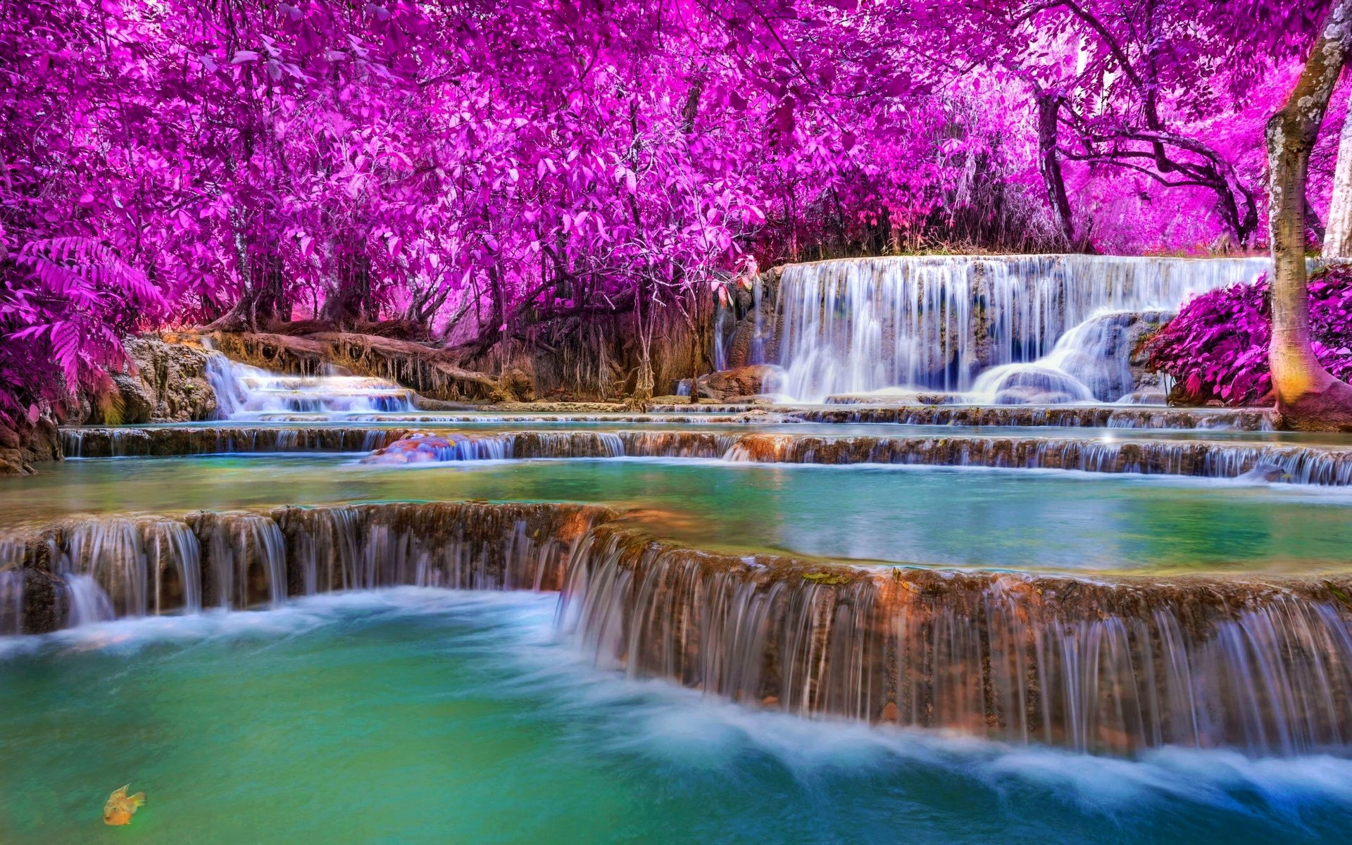 Download Noon Waterfall Colorful Sunny 8k Ultra Hd Wallpaper