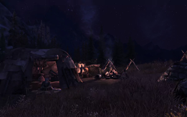 HD desktop wallpaper featuring a night scene from The Elder Scrolls V: Skyrim with a campsite, campfire, and a starry sky in the background.