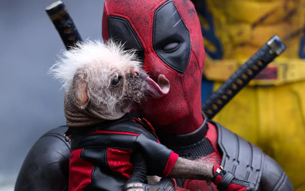 A vibrant HD wallpaper featuring Deadpool cuddling Dogpool, with Wolverine in the background. The playful scene captures the humor of the Deadpool universe.