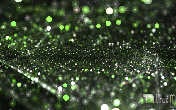  LinuxMint3