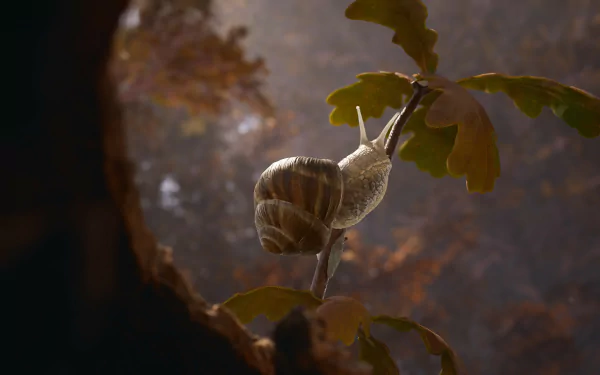 HD desktop wallpaper featuring a close-up of a snail on a leaf, tagged with video game Empire of the Ants.