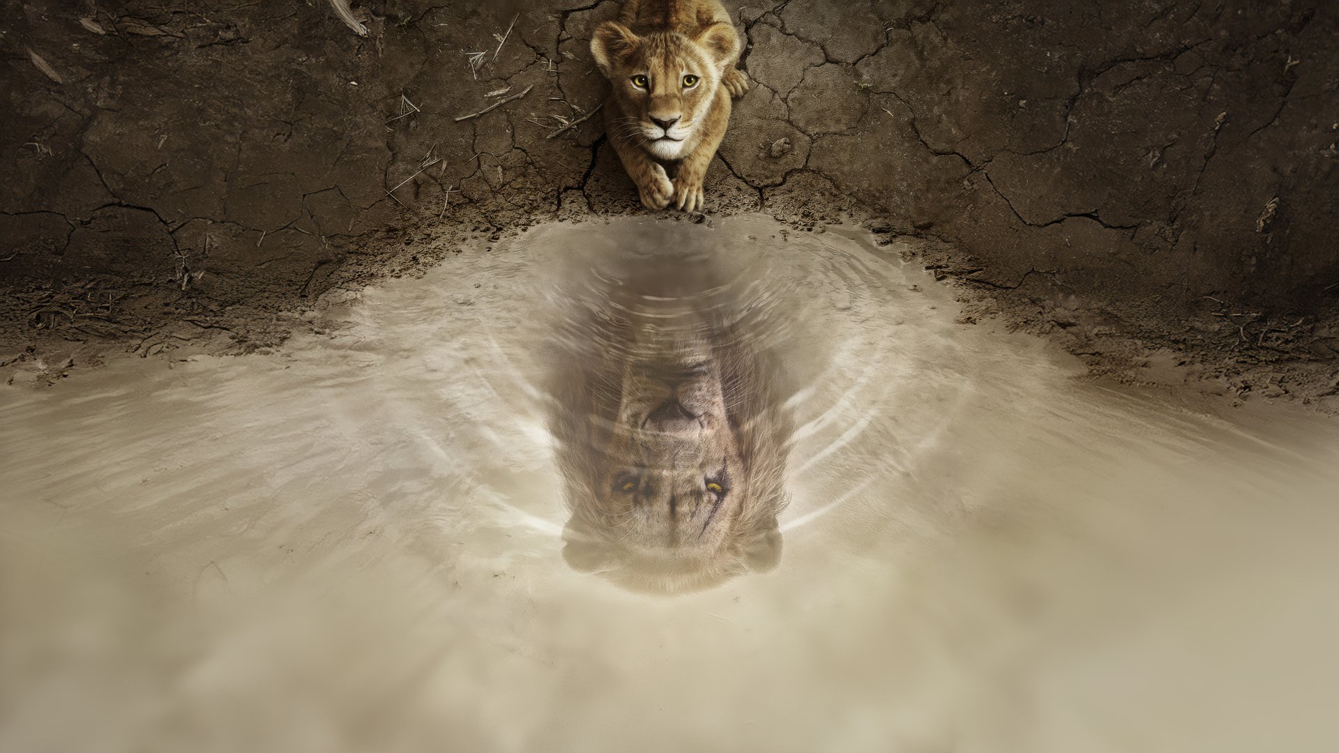 Download Mufasa (The Lion King) 4k Ultra HD Wallpaper