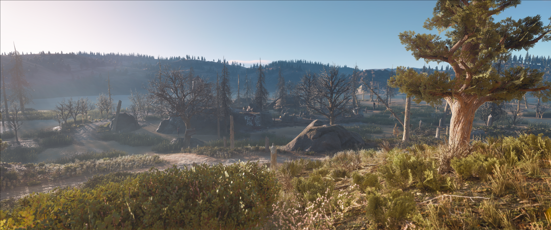 Days Gone 2 by outing69@proton.me