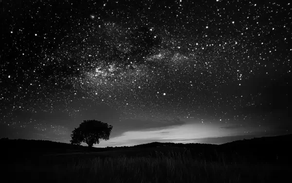 A captivating HD desktop wallpaper featuring a black, starry sky above a dark landscape, enhanced by the silhouette of a solitary tree against the shimmering stars.