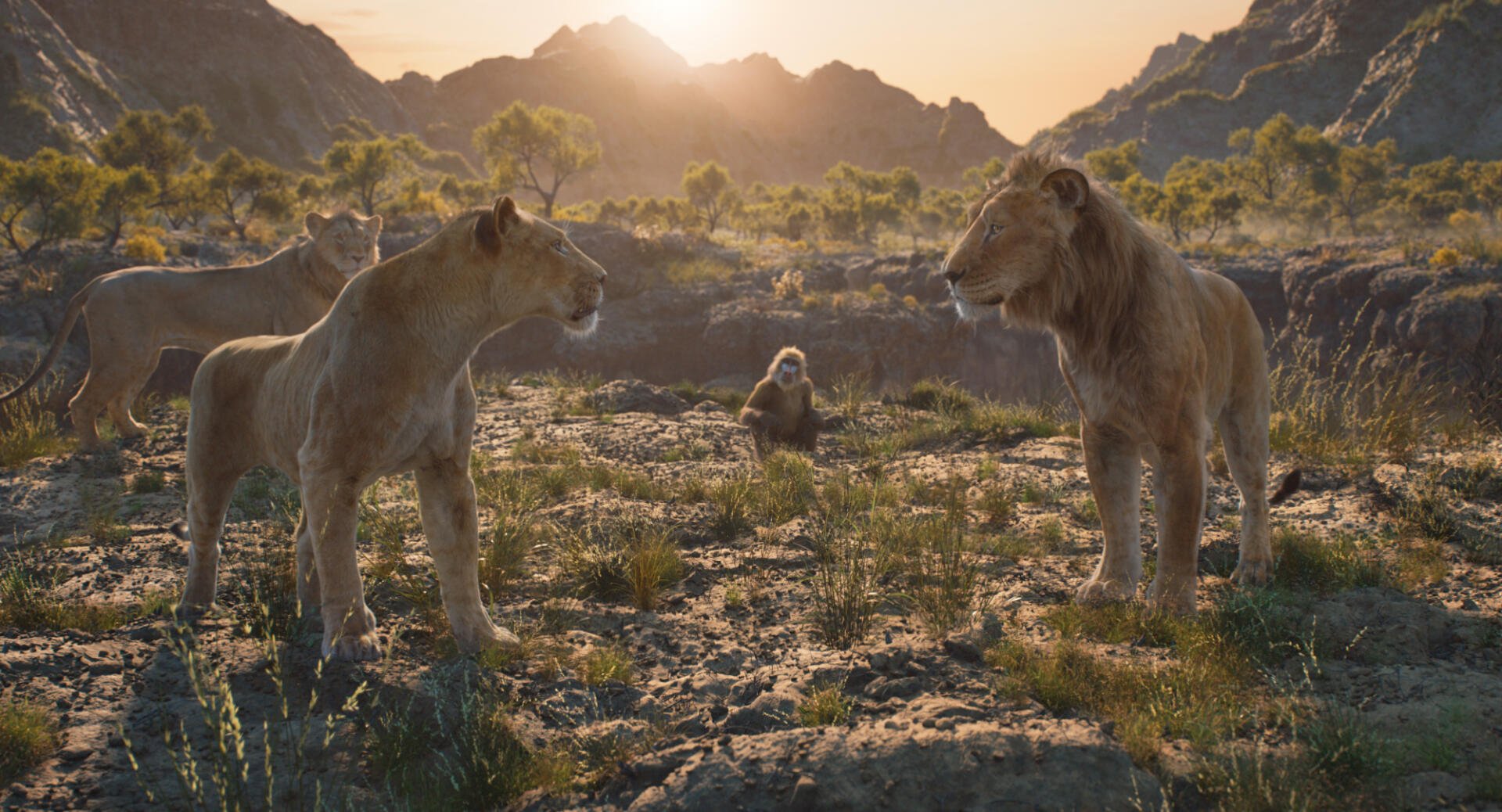A stunning HD wallpaper featuring Mufasa from The Lion King, showcasing a lion, lioness, and a monkey in a natural landscape during sunset, highlighting the film's majestic essence.