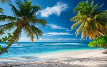 Сексуалдық хардкор порно көру