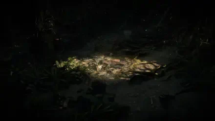 A detailed 4K Ultra HD wallpaper featuring a shadowy forest floor from Path of Exile 2, illuminated by a soft light revealing leaves and debris.