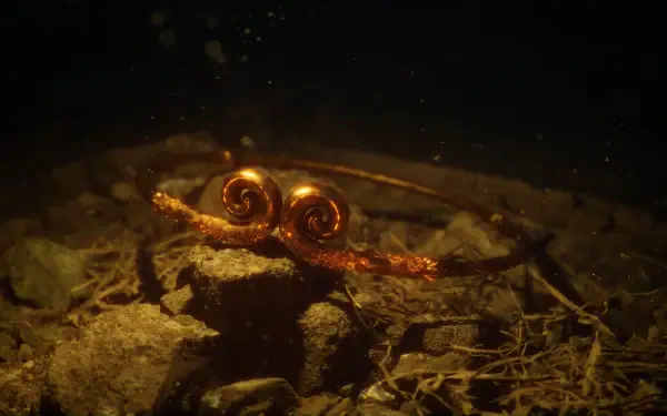 An intricate tiara, featuring swirling designs, emerges from underwater debris. Captured in stunning detail, this HD wallpaper showcases elements from the video game Black Myth: Wukong.