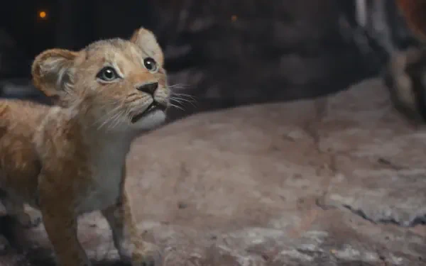 A young lion cub gazes upwards, capturing a tender moment from Mufasa: The Lion King. This HD image serves as a striking desktop wallpaper and background.