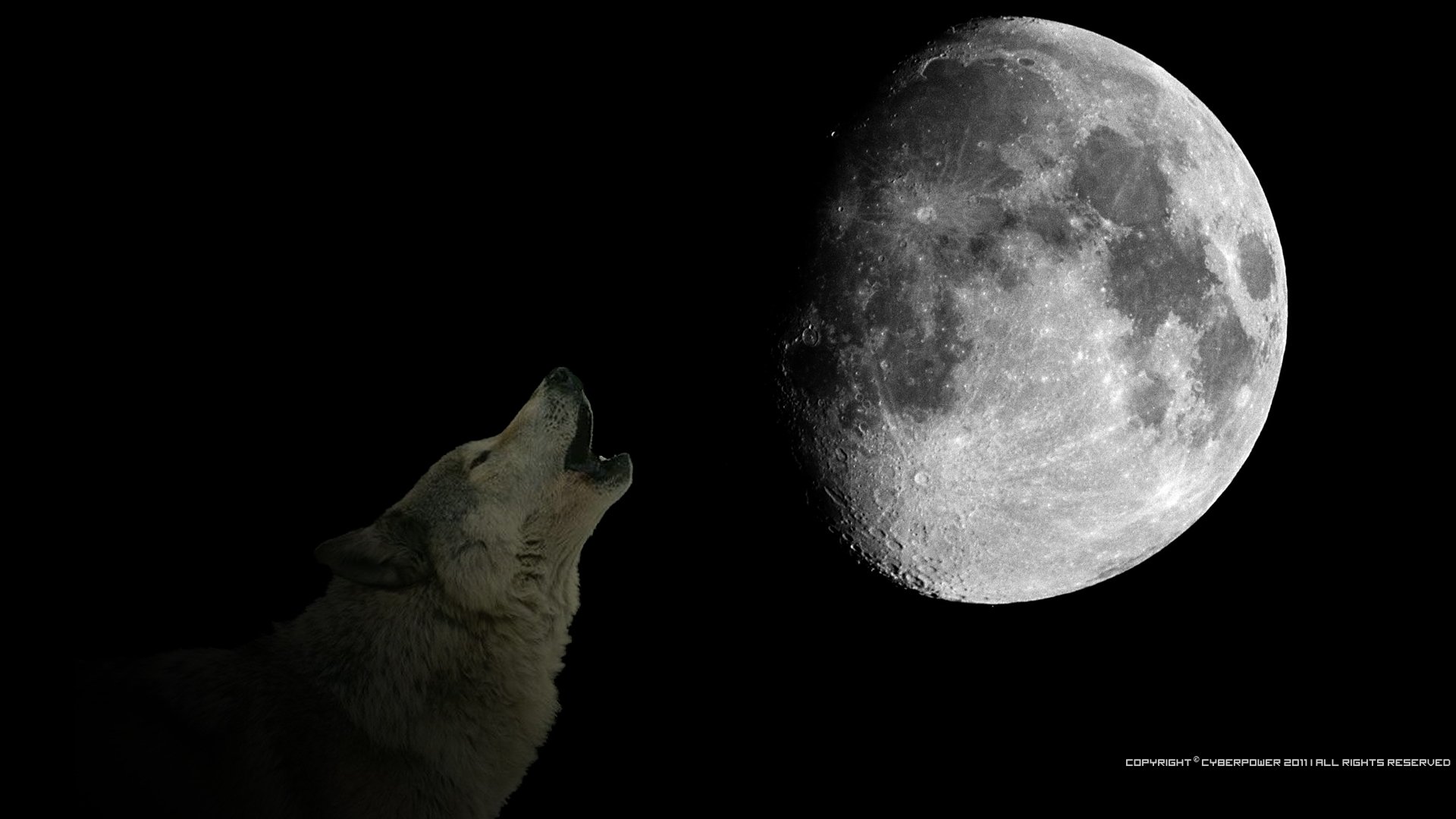 HD artistic PC desktop wallpaper featuring a wolf howling at a bright, detailed moon against a black night sky.