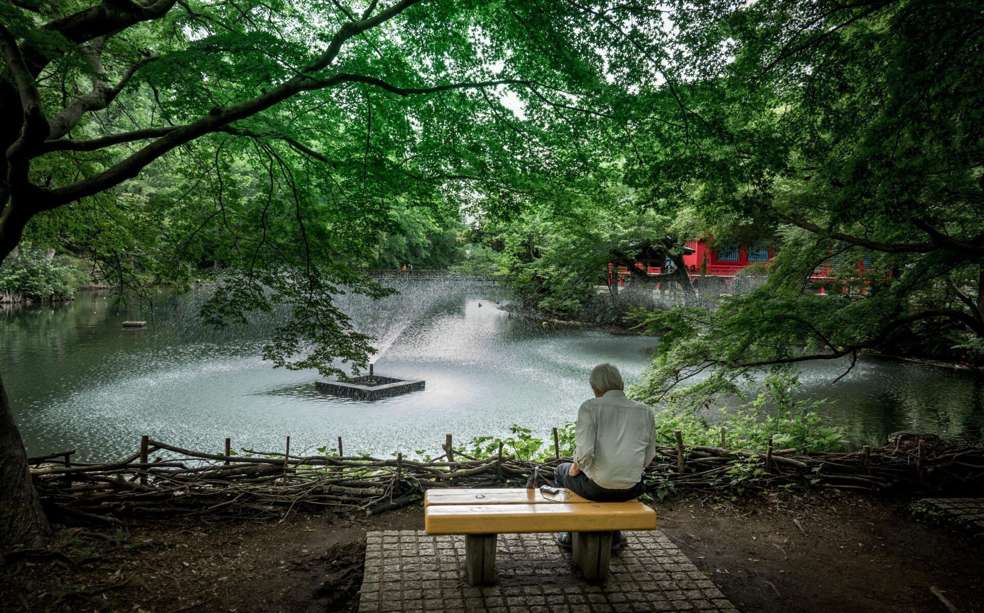 Download Garden Man Man Made 4k Ultra HD Wallpaper