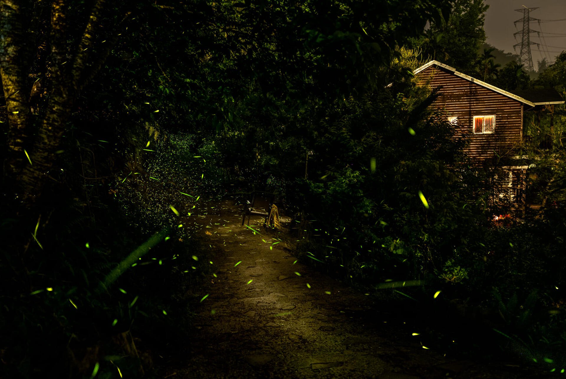 Download Garden Man Made HD Wallpaper