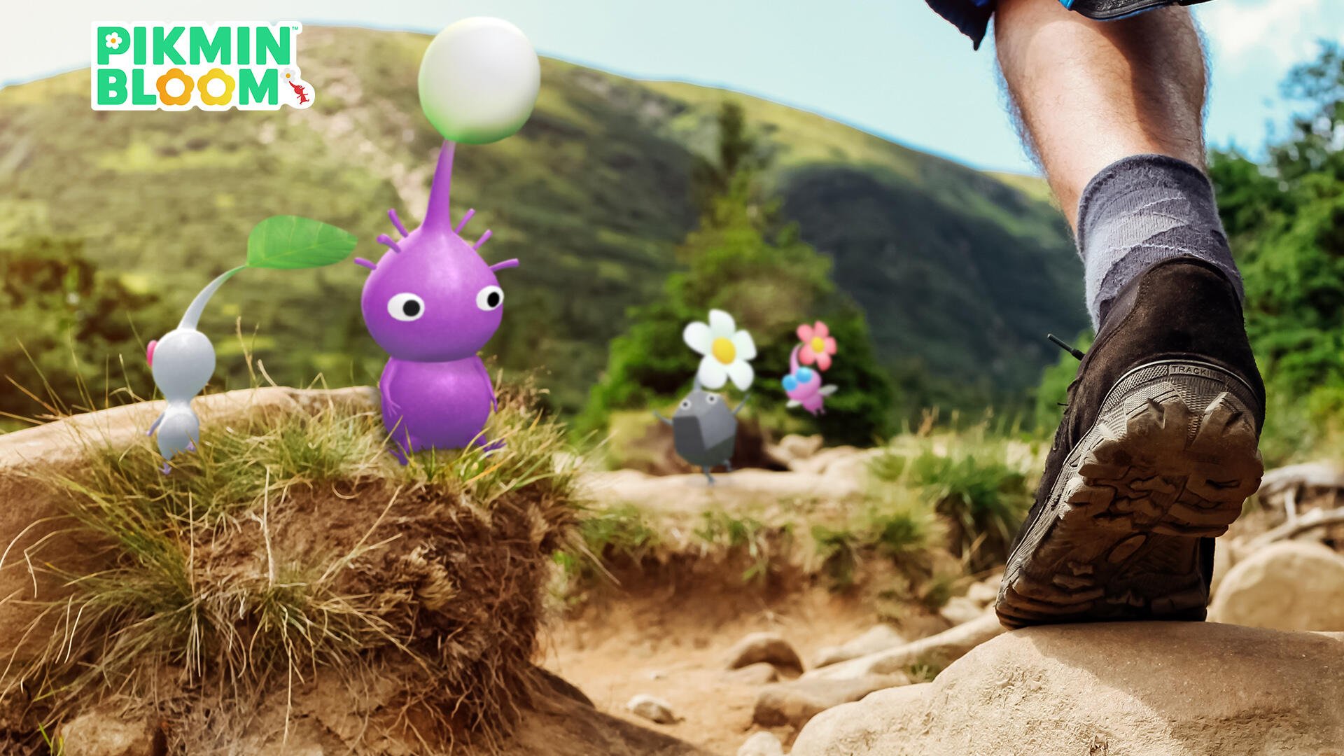 HD PC desktop wallpaper featuring colorful Pikmin characters on a grassy trail with a hiker’s foot stepping forward, set against a natural outdoor landscape.
