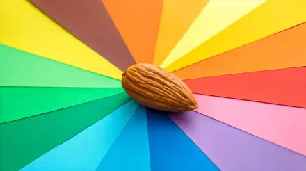 A single almond resting on a vibrant, multicolored fan of paper, captured in sharp detail as a 4K Ultra HD PC desktop wallpaper and background.